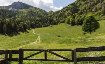 Cosa vedere a Trento: itinerario di un giorno