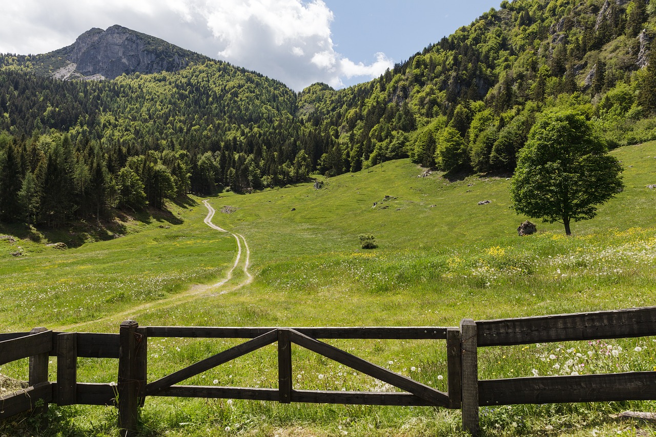 Cosa vedere a Trento: itinerario di un giorno