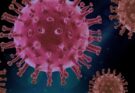 virus più pericolosi del mondo