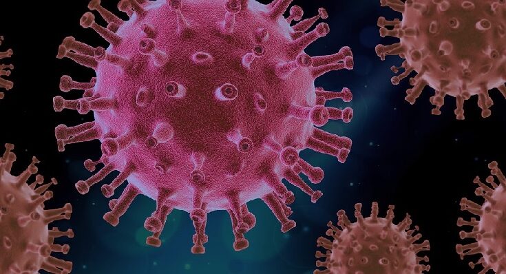 virus più pericolosi del mondo