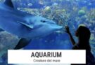 Aquarium: un viaggio negli oceani al Neapolis