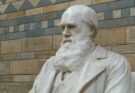 Charles Darwin: l'origine della specie