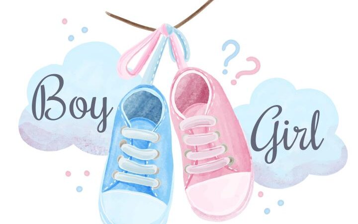 il gender reveal è una festa sessista?