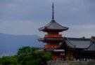 Matrimonio in epoca Tokugawa