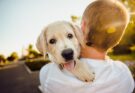 L'amicizia tra uomo e cane: dal Neolitico ai giorni nostri