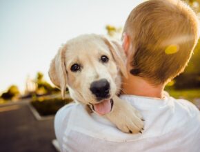 L'amicizia tra uomo e cane: dal Neolitico ai giorni nostri