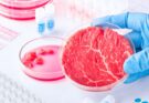 Carne coltivata: cos'è e quali sono i vantaggi e i limiti