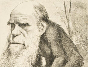 Ciao Darwin di Paolo Bonolis e la teoria evoluzionistica