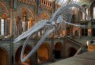 Musei da visitare a Londra