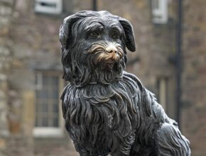 greyfriars bobby: il cane piu fedele di edimburgo