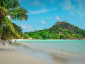 Isole delle Seychelles: quali sono le più belle?