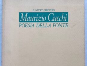 Poesia della fonte di Cucchi: il ruolo del ricordo | analisi