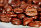 Kopi Luwak: il caffè prodotto dal musang