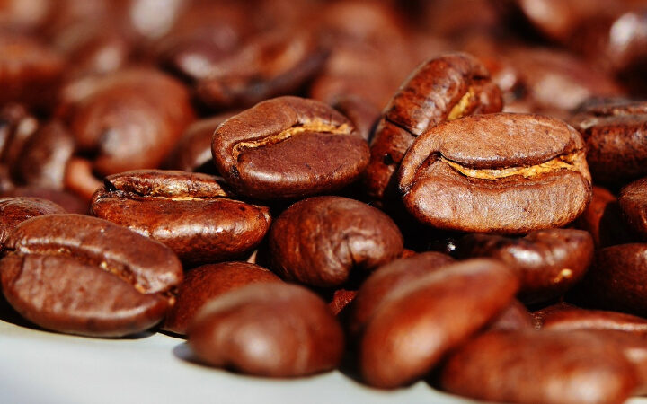 Kopi Luwak: il caffè prodotto dal musang