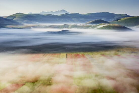 La fioritura di Castelluccio di Norcia 