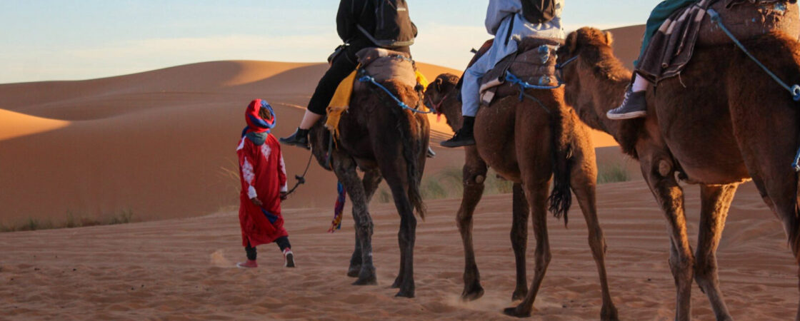 Deserto del Sahara: tour ed escursioni consigliate