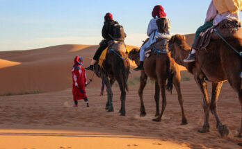 Deserto del Sahara: tour ed escursioni consigliate