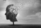 Alzheimer: cos'è e come si manifesta