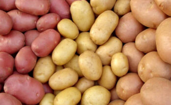 Insalata di patate: 3 da provare