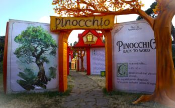 pinocchio back to wood