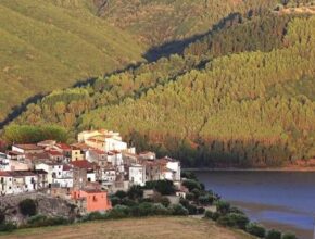 Cosa vedere a Tarsia: 4 luoghi del piccolo borgo calabrese.