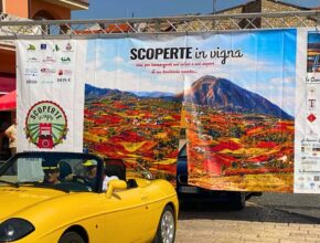 Scoperte in Vigna 2024