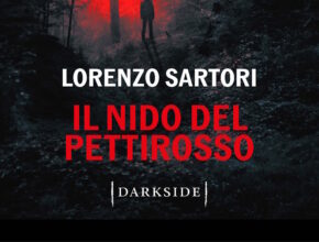 il nido del pettirosso