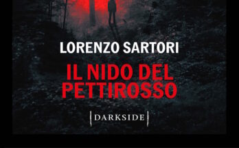 il nido del pettirosso