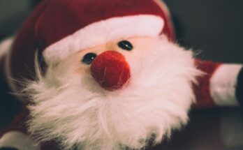 Chi porta i regali di Natale ai bambini nel mondo?